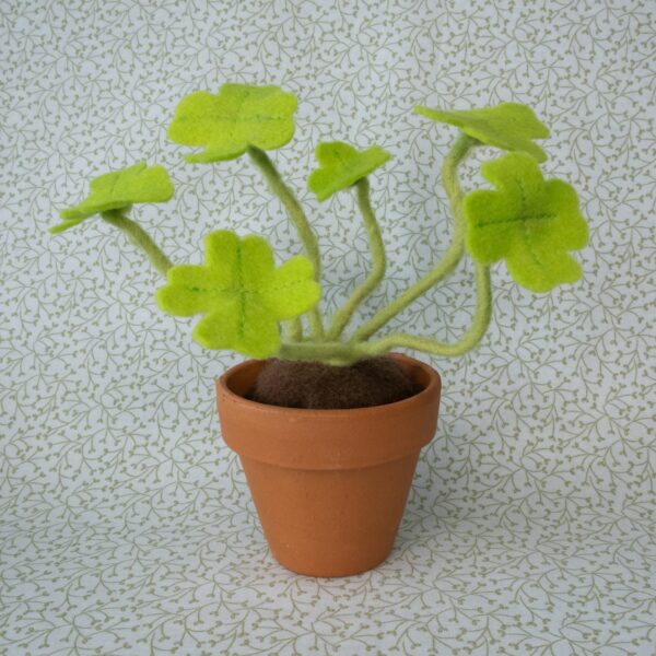 Lucky Plant mini