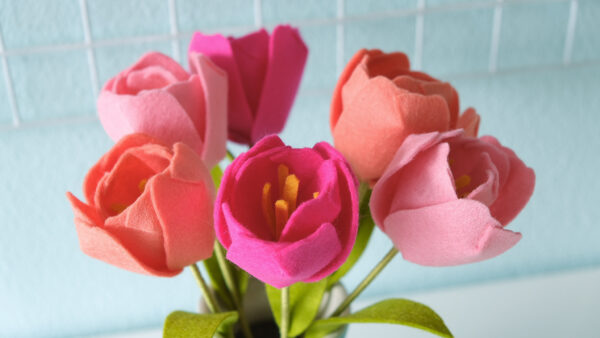 Happy Tulips DIY kit - Afbeelding 3