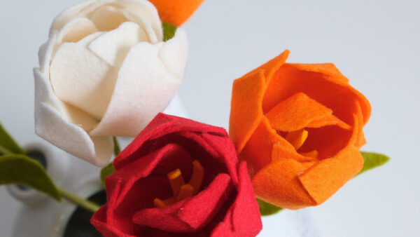 Happy Dutch Tulips Rood, Wit, Blauw - Afbeelding 3